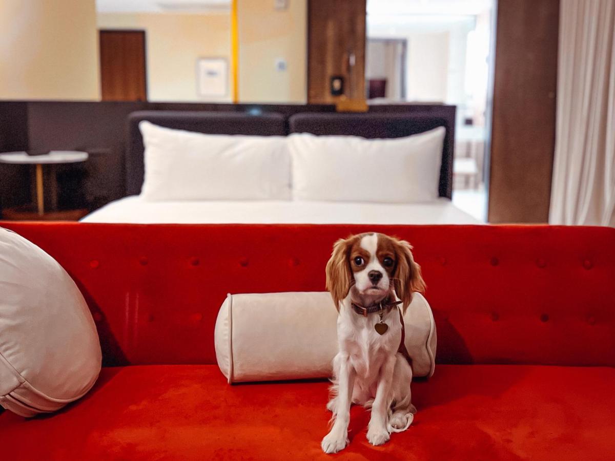 Hotel Haya Tampa Luaran gambar